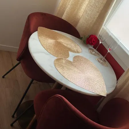 Prestige Jacuzzi & Clim, Parking - Roanne Centre-Ville Apartment *