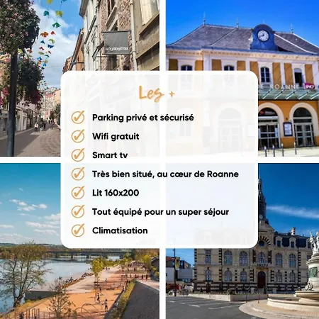 Apartment Prestige Jacuzzi & Clim, Parking - Roanne Centre-Ville